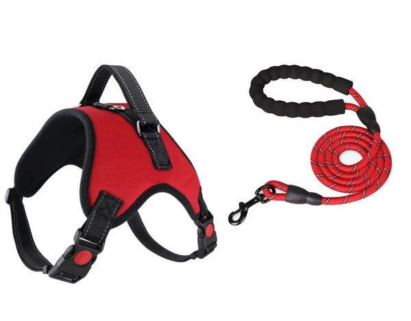 Bright Paws Safety Set