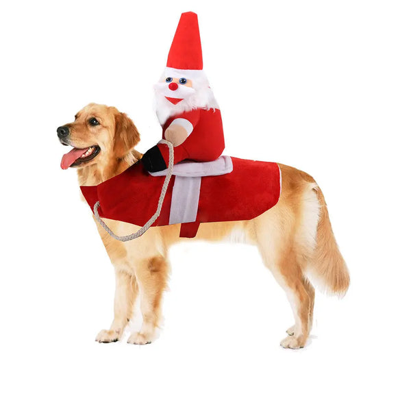 Festive Furry Friend Outfit