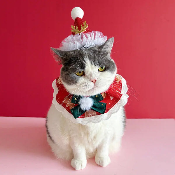 Festive Pet Collar Delight GiftNestAU