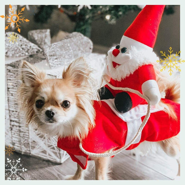 Festive Furry Friend Outfit GiftNestAU