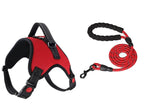 Bright Paws Safety Set GiftNestAU