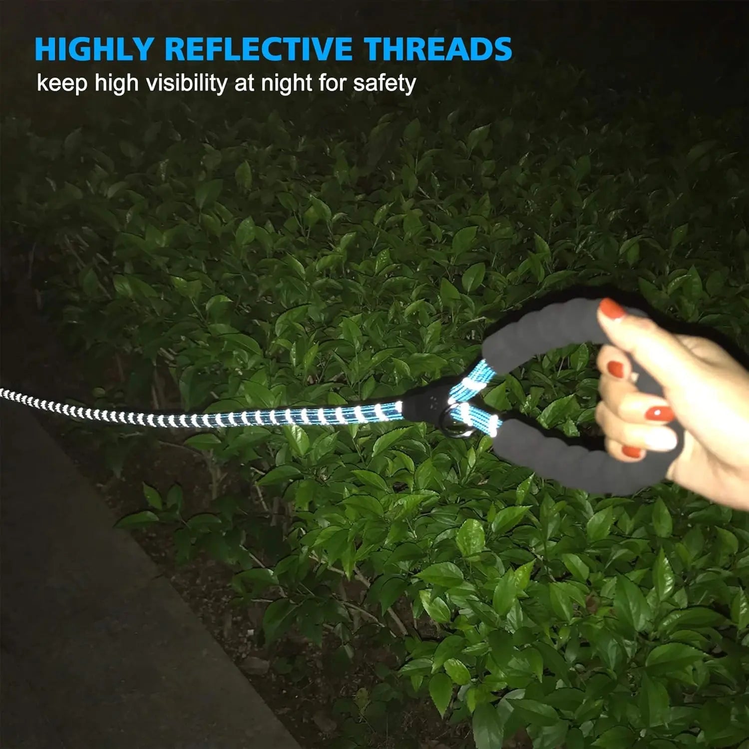 Bright Paws Safety Set GiftNestAU