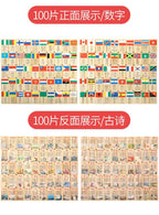 Colorful Fruit Domino Adventure GiftNestAU