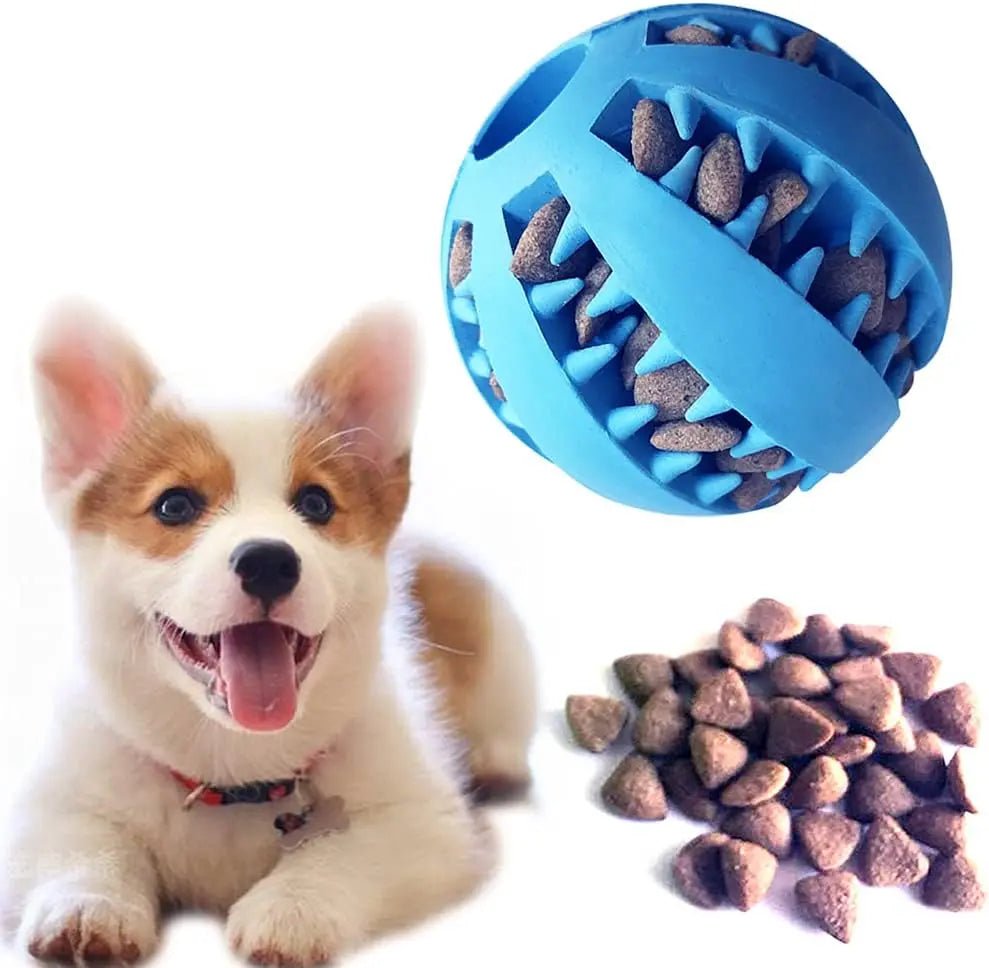 Paw Fun Treat Ball GiftNestAU