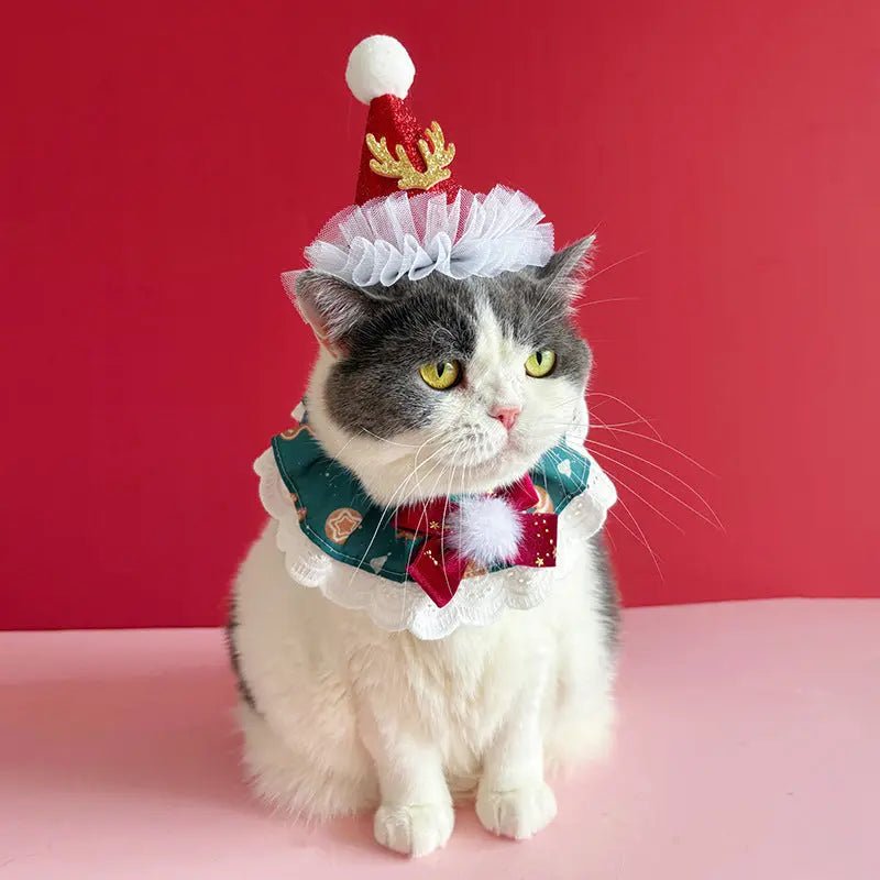 Festive Pet Collar Delight GiftNestAU