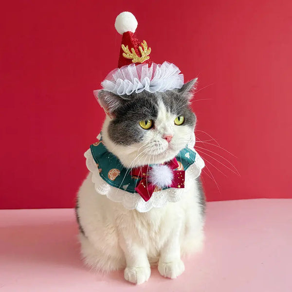 Festive Pet Collar Delight