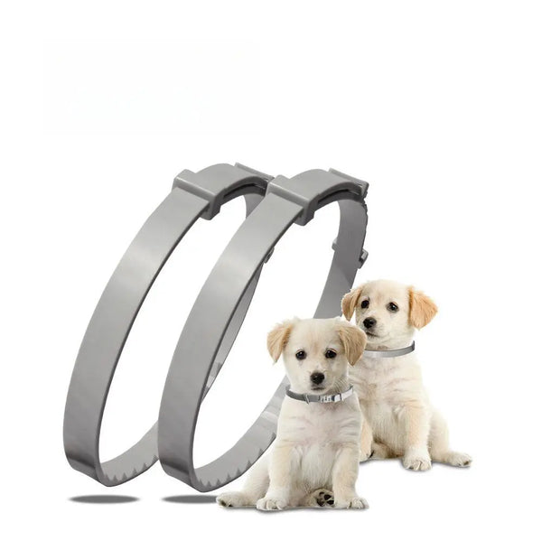 Dog Defender Flea Collar GiftNestAU