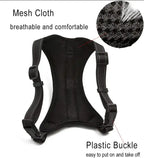 Bright Paws Safety Set GiftNestAU