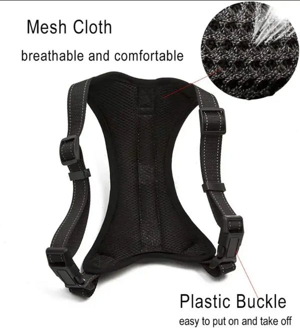 Bright Paws Safety Set