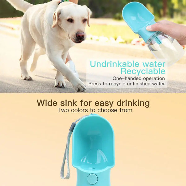 Adventure Pet Water Bottle GiftNestAU