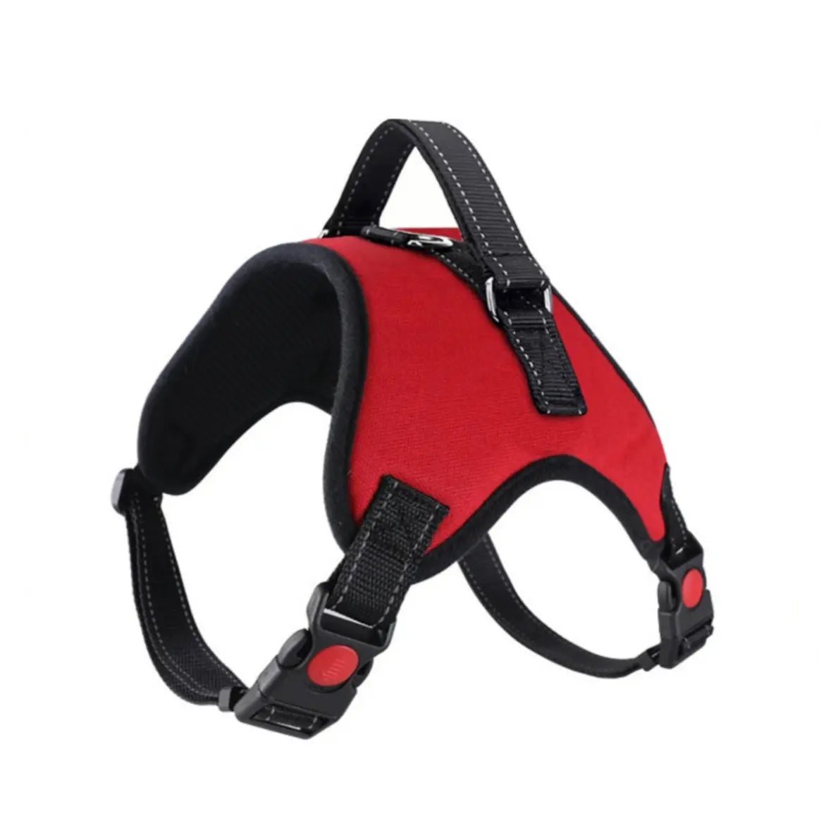 Bright Paws Safety Set GiftNestAU